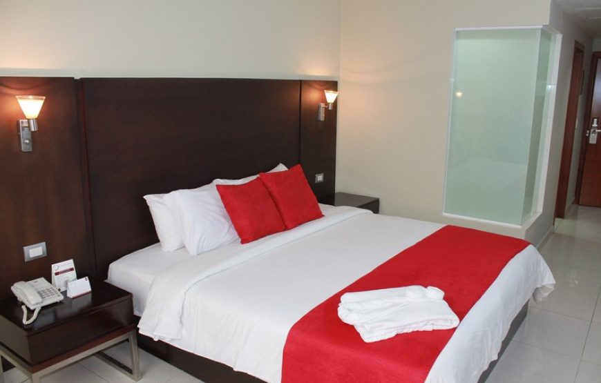 Hotel Puerta del Sol